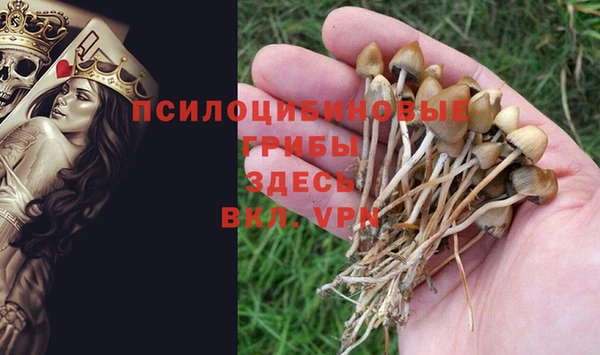 СК Алзамай