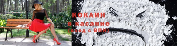 ешки Аркадак